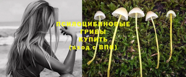 прущая мука Алзамай