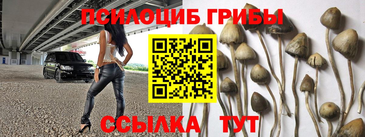 Псилоцибиновые грибы мухоморы  Вход с VPN  Томск 